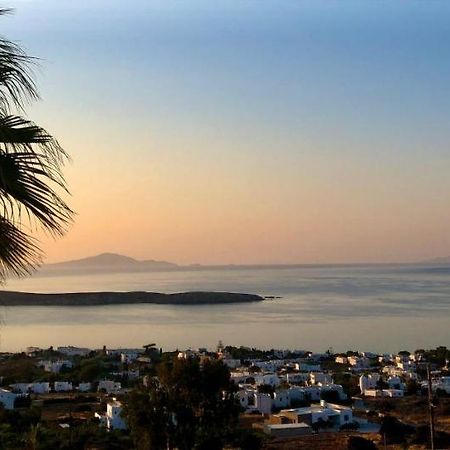 Villa Rossi Paros Luxury Apartments And Suites ドリオス エクステリア 写真