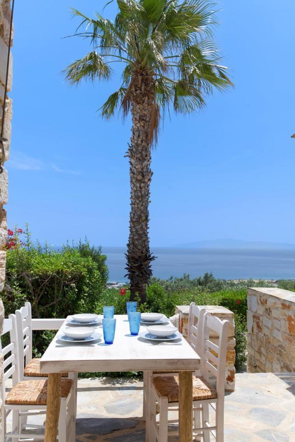 Villa Rossi Paros Luxury Apartments And Suites ドリオス エクステリア 写真